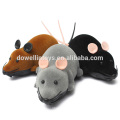 DWI Dowellin 2 Channel Remote Control cat toy mouse animal toy